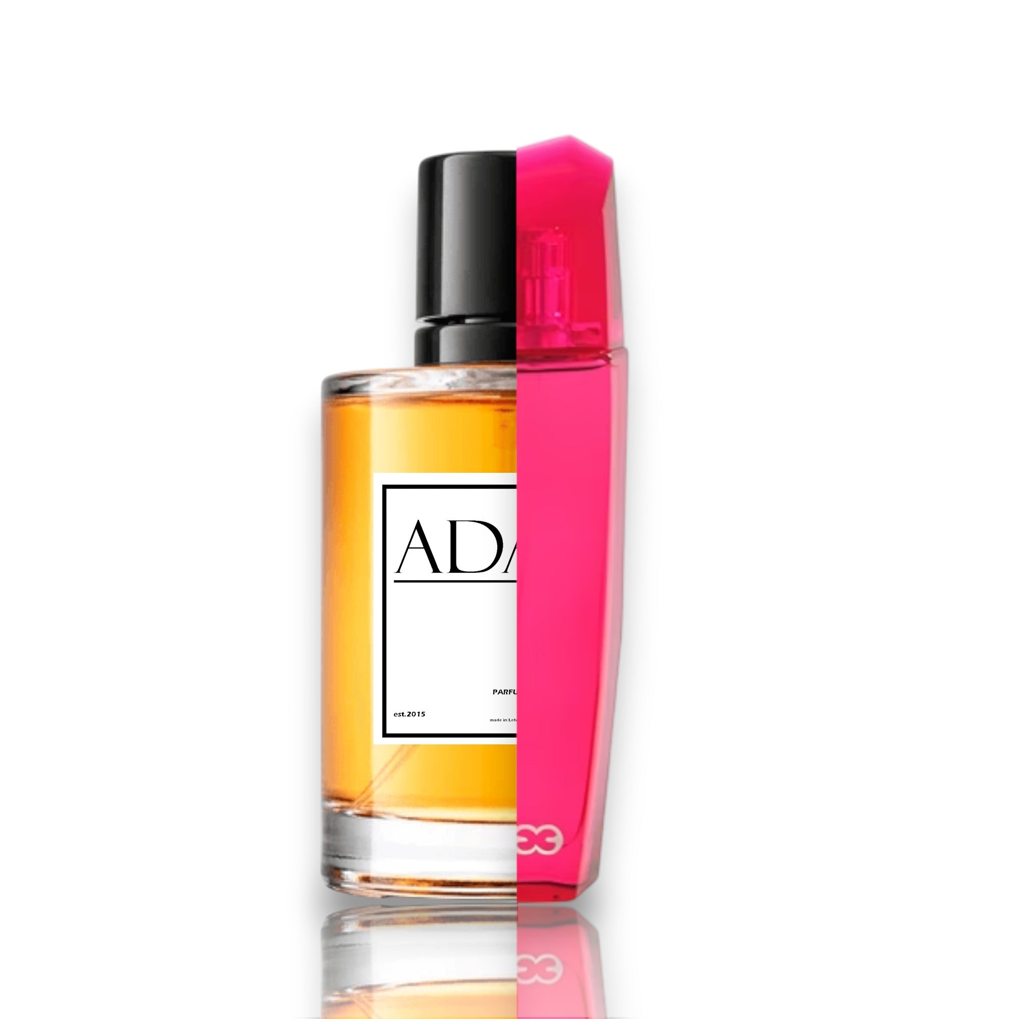 Escada Magnetism